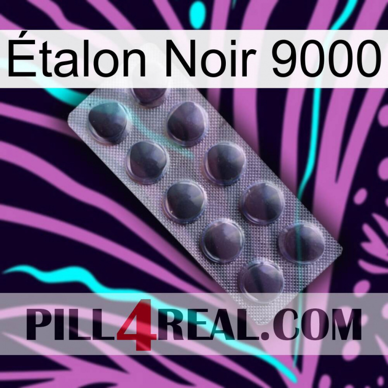 Étalon Noir 9000 30